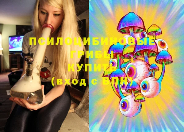 круглые Аркадак